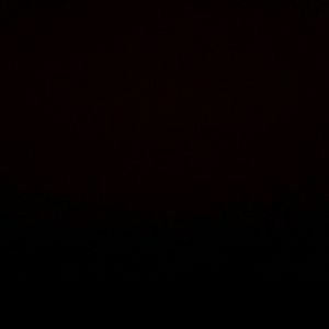 Meet your Posher, Rylee